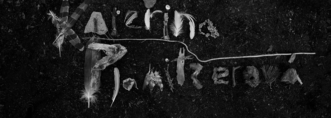 KATEŘINA PLAMITZEROVÁ Kolekce   2016